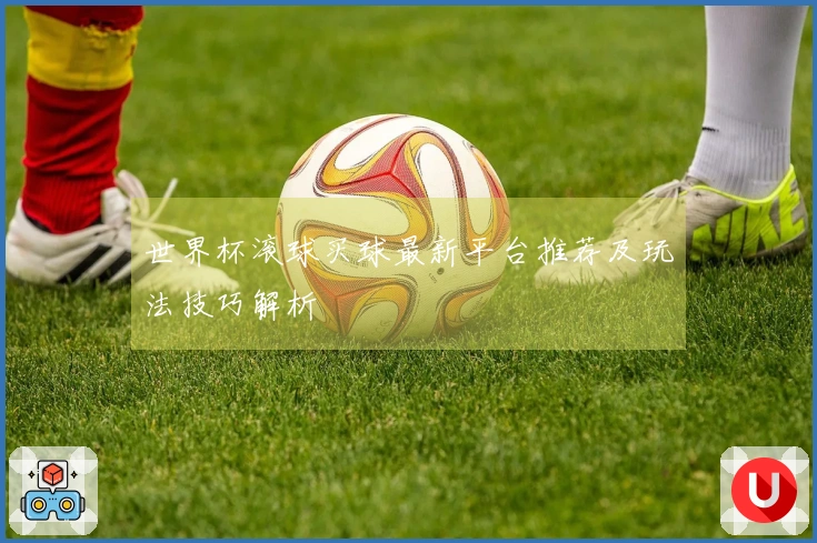 世界杯滚球买球最新平台推荐及玩法技巧解析